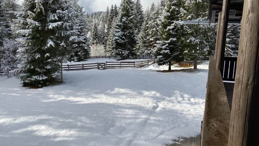 Blick vom Balkon über die verschneite Wiese