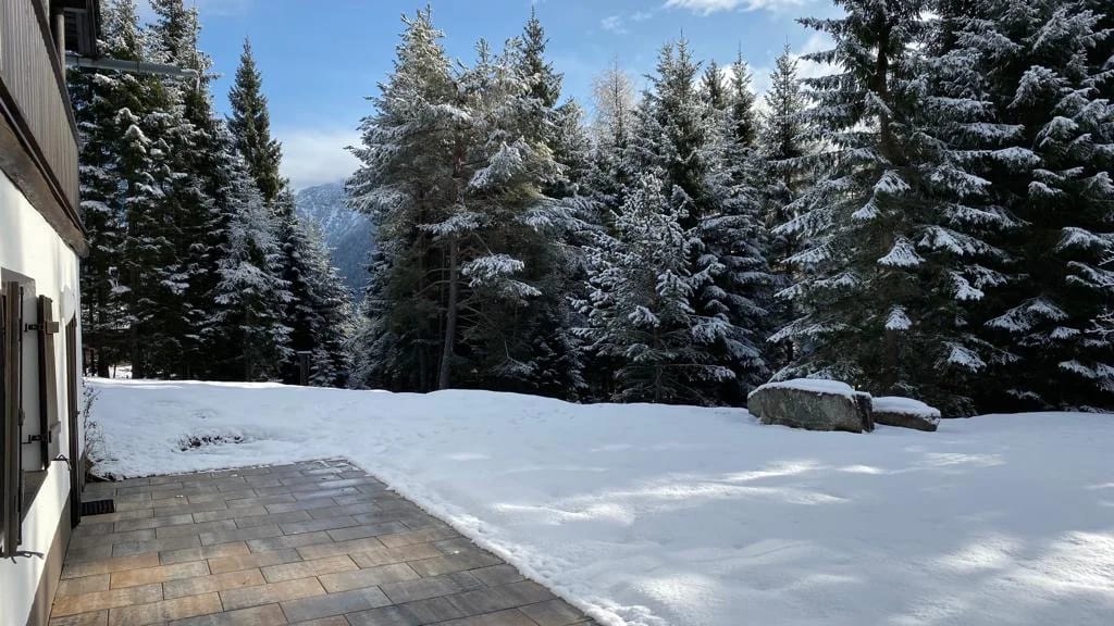 Verschneiter Wald rund um das Chalet